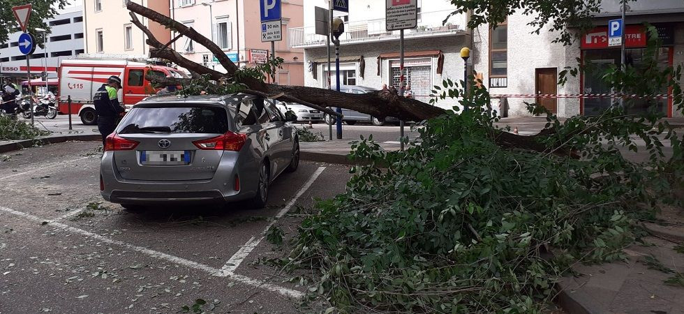 Paura a Trento, un grosso ramo si spezza e distrugge un’auto